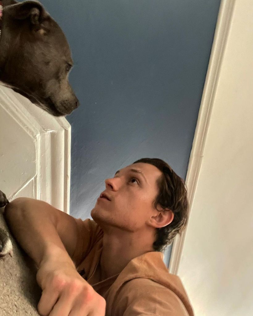 Tom Holland with his dog