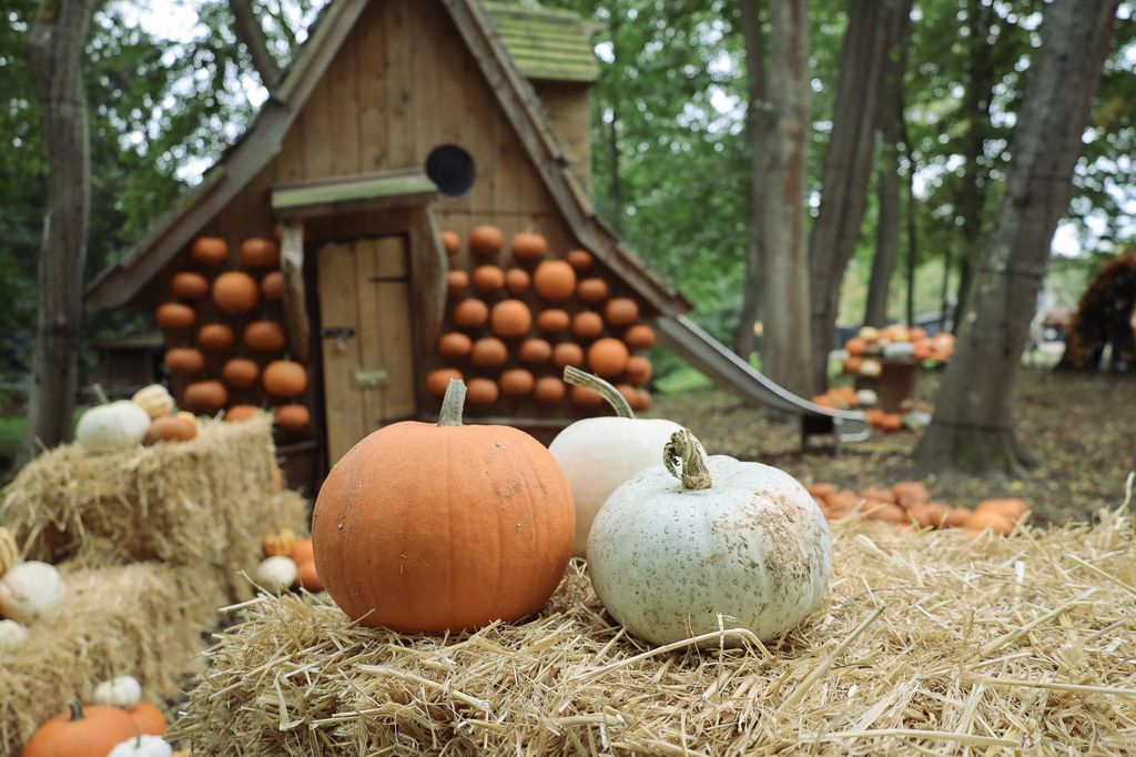 Audley End Miniature Railway Halloween Special