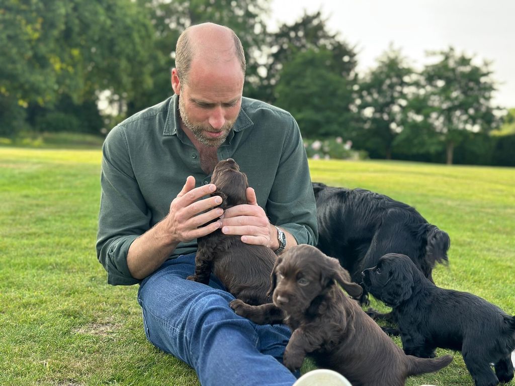 prince william with four puppies