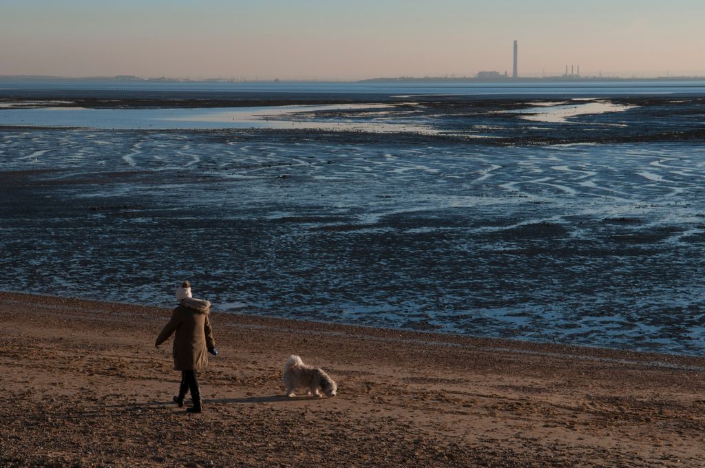 A woman walks her dog as the sunsets over the Thames Estuary with the Grain Power Station in the distance on January 19, 2016 in Southend on Sea, England. 