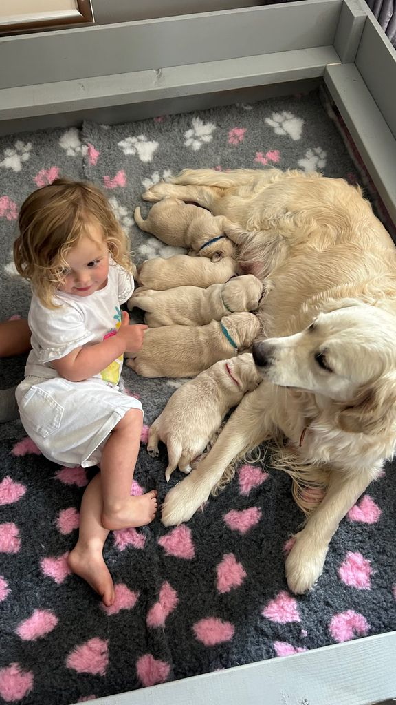 A photo of Elsie with a dog