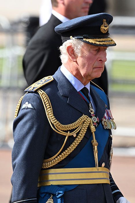 prince charles sombre