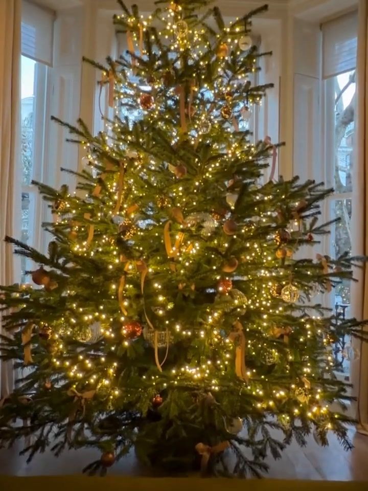 A Christmas tree with lights on