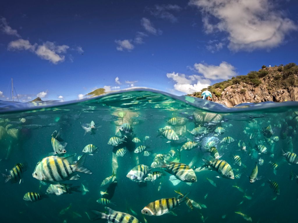 Snorkelling is just one of the many port day activities to enjoy