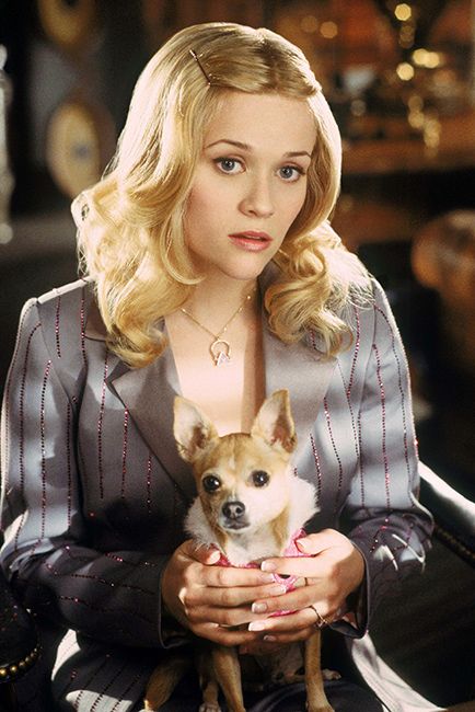reese witherspoon elle woods