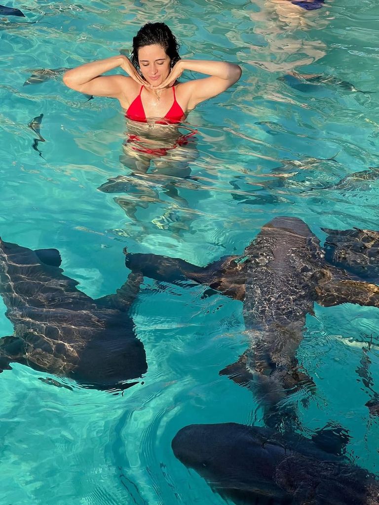 Camila Cabello grésille en bikini brûlant au milieu d'une évasion tropicale 2 Camila Cabello nageant avec des poissons