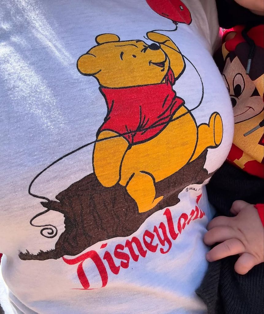 Photo shared by Kourtney Kardashian on Instagram showing glimpses of her family Disneyland trip with baby FRocky