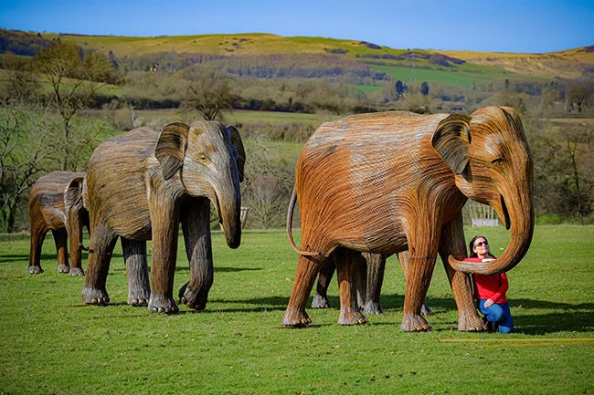 Sudeley Castle elephant sculptures reopening 12 April lockdown easing Z 