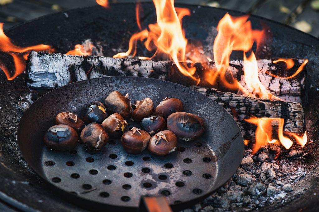 Chestnuts can be dangerous 