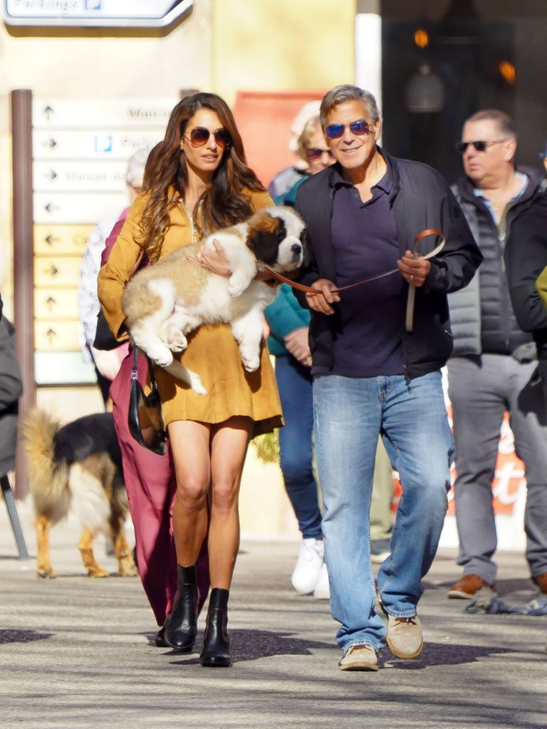 Amal and George Clooney walking side by side with their new dog Nelson in Amal's arms