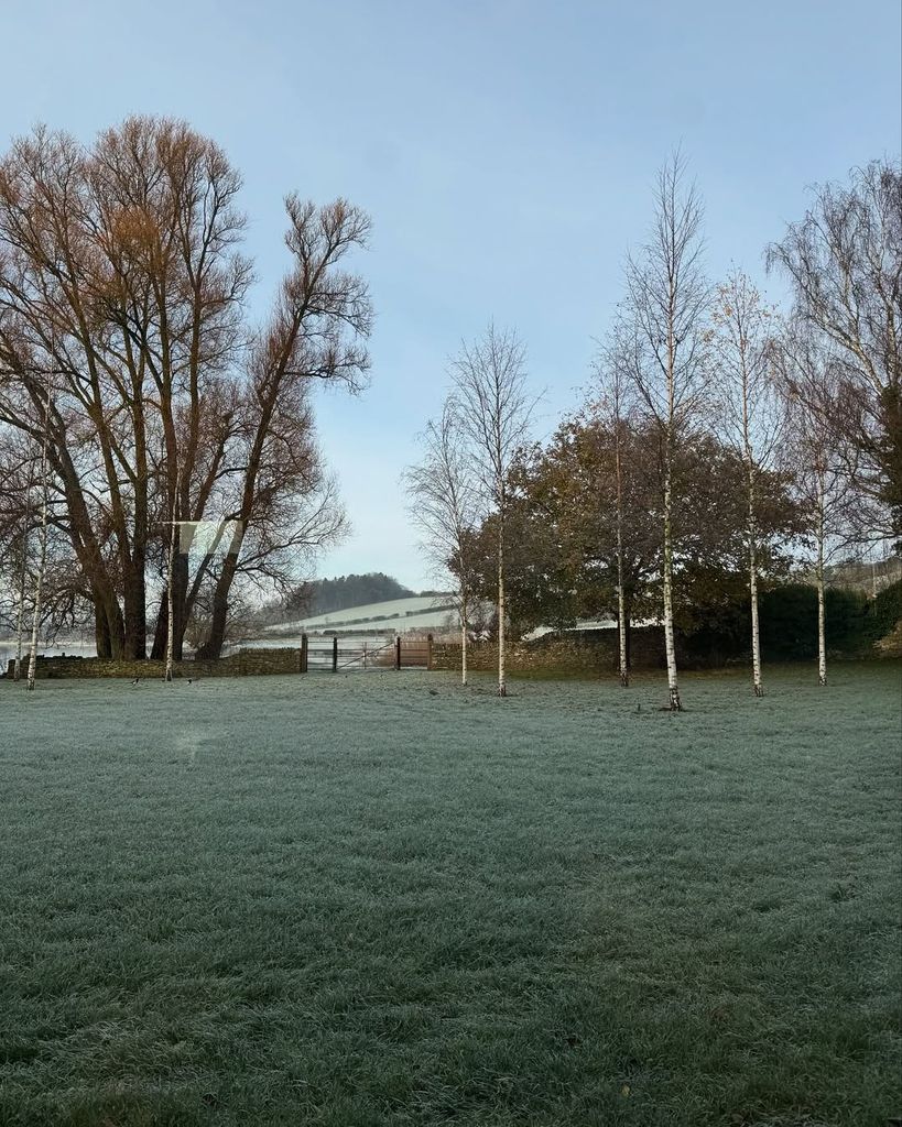 Ellen's garden on a early morning when the sun hasn't fully risen