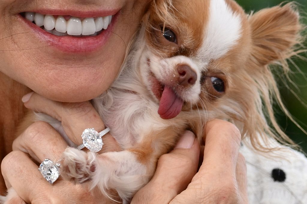 Demi Moore's dog up close showing diamond rings on her hand