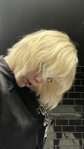 billie eilish haircut bathroom selfie