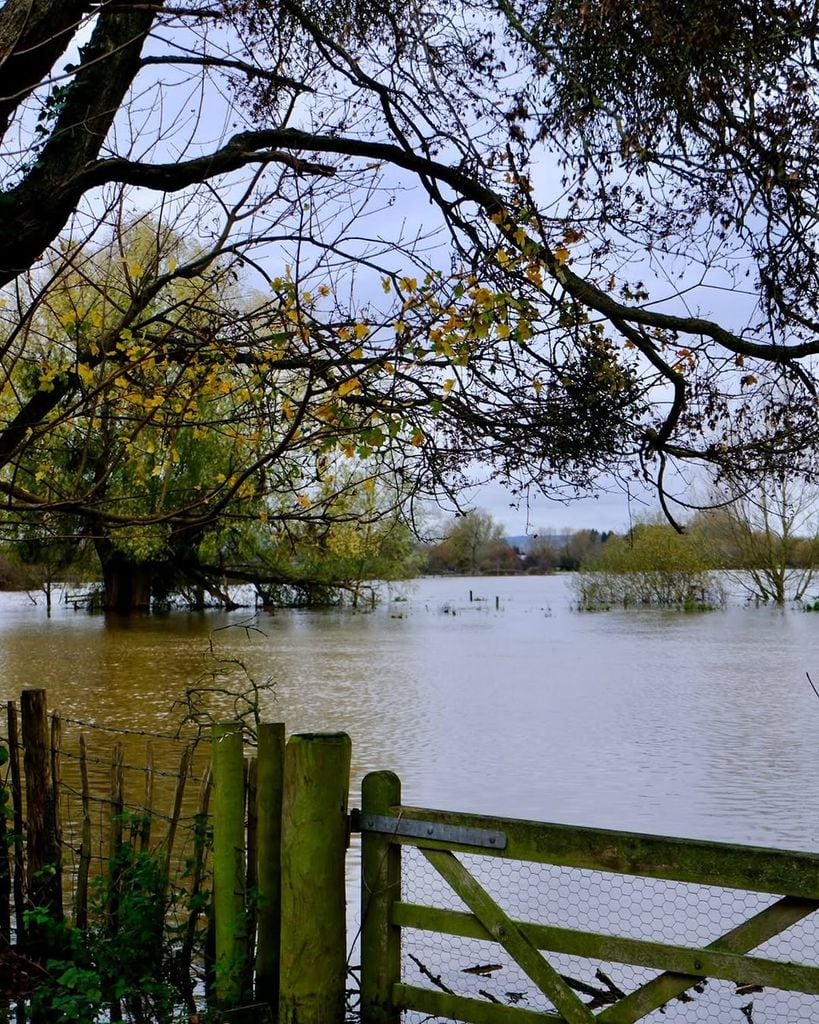 Monty Don shows the aftermath of flooding at his home in November 2025