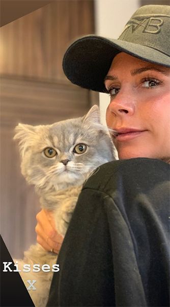 victoria beckham with grey cat