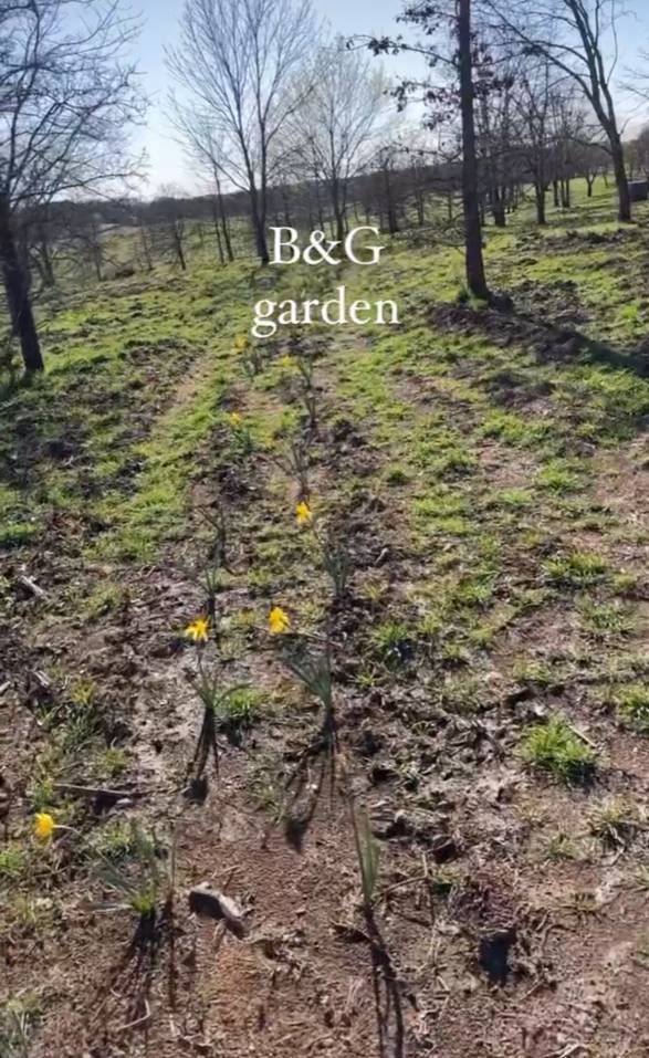 gwen stefani blake shelton garden