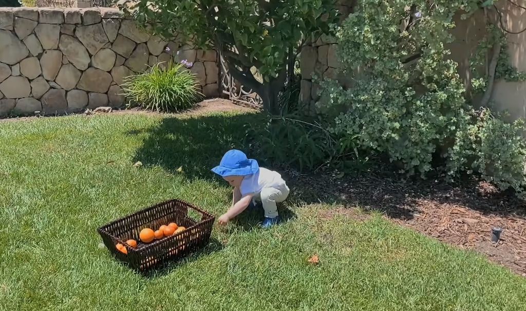 Archie in Prince Harry and Meghan Markle's garden at their Montecito home