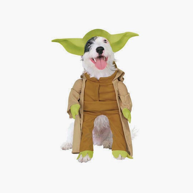 yoda dog costume