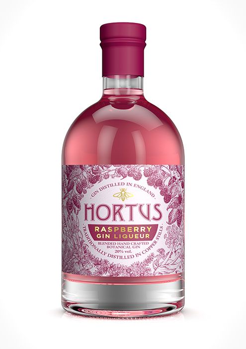 Lidl are launching two new Christmas gins for just £11.99 | HELLO!