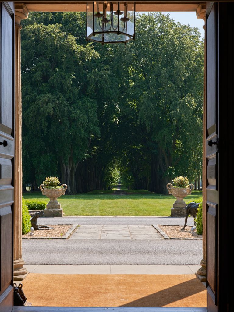 A door looking out onto rows of trees