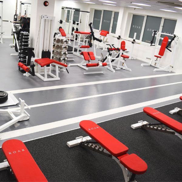 gym5