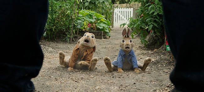 peter rabbit boycott