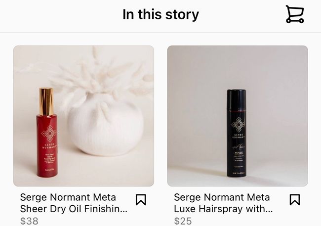 two images of hair products side by side labelled serge normant meta sheer dry oil and serge normant meta luxe hairspray