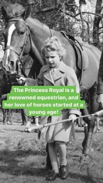 princess anne horses
