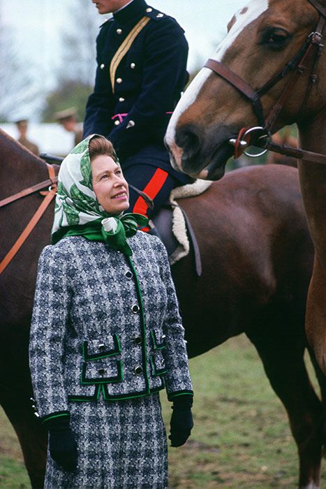 queen elizabeth reaction horses