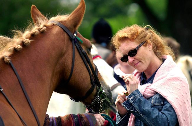 Sarah Ferguson stroking a horse
