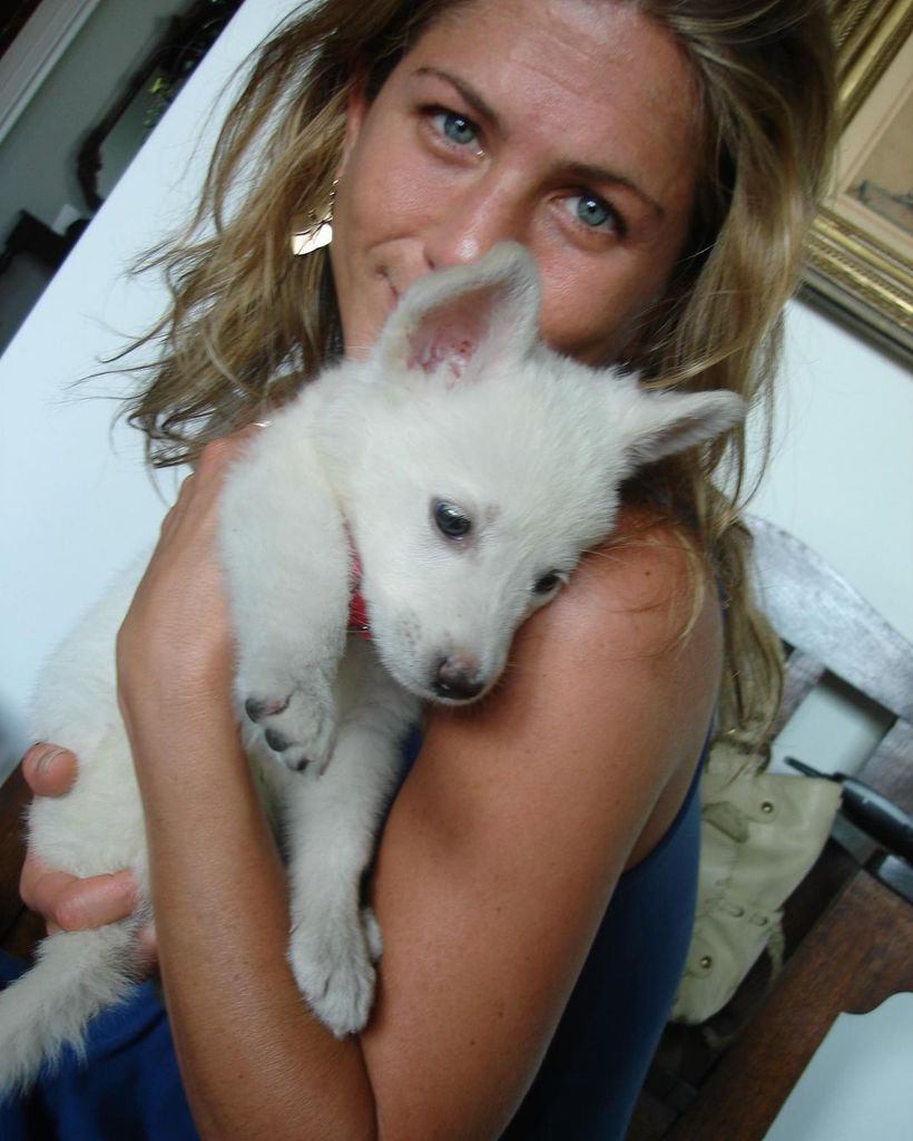 Jennifer Aniston cradles a white puppy