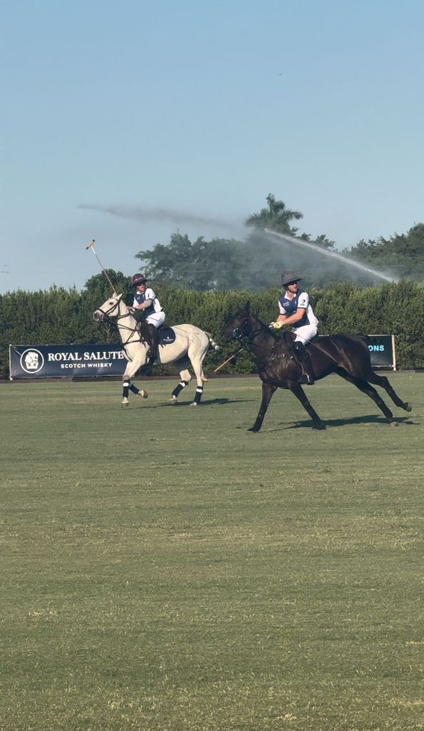 Prince Harry plays polo in Florida