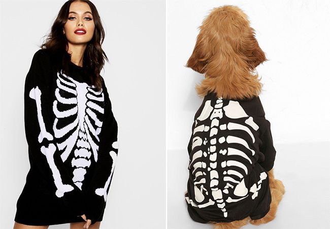 skeleton dog