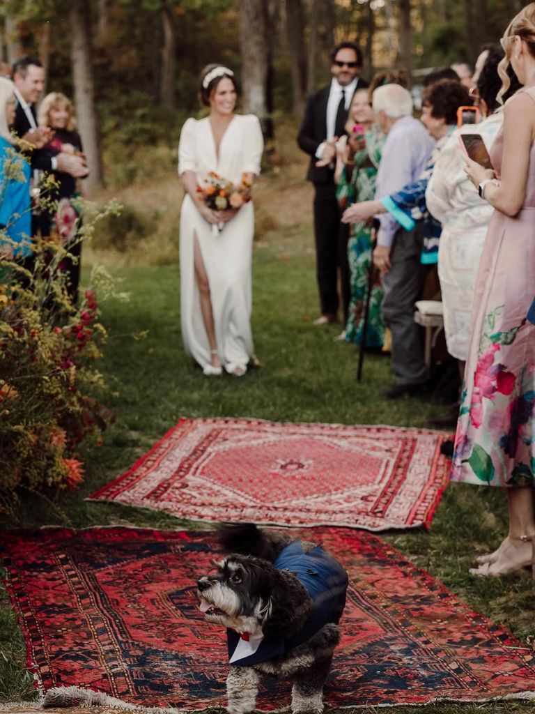 Sara Bareilles and her dog Louie on her wedding day