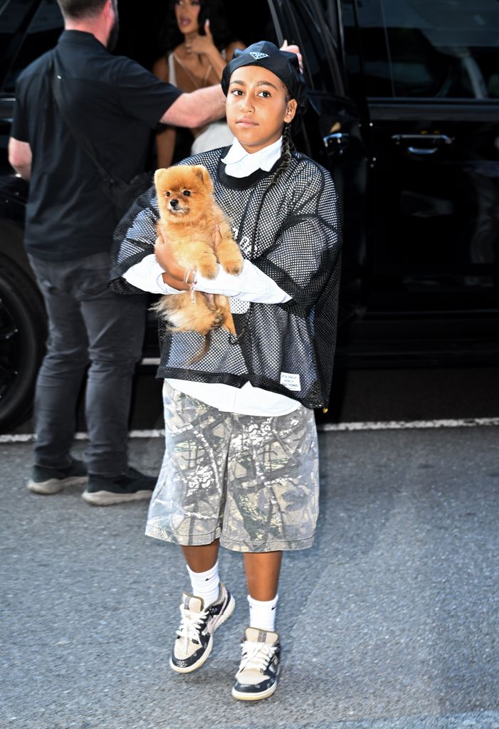 north west carrying dog