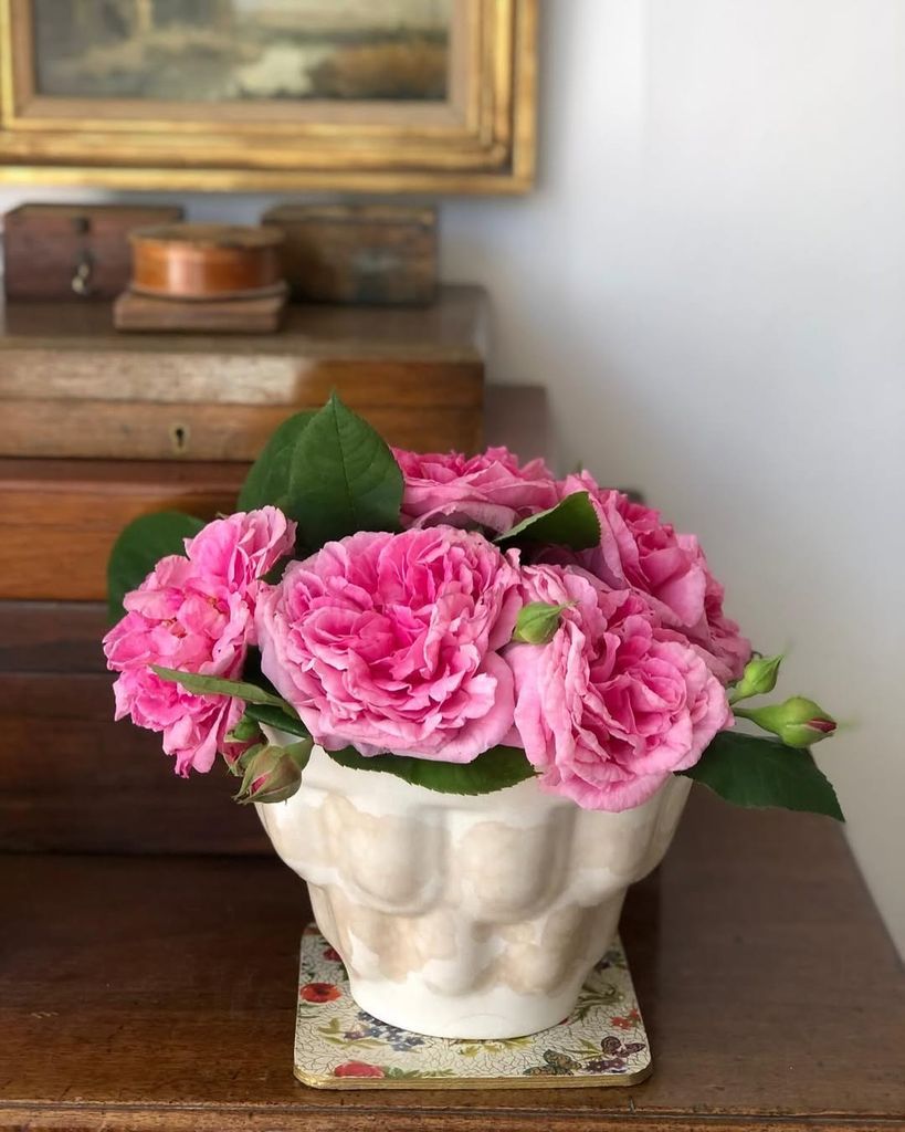 Pink peonies in a cream vase sitting on a wooden table