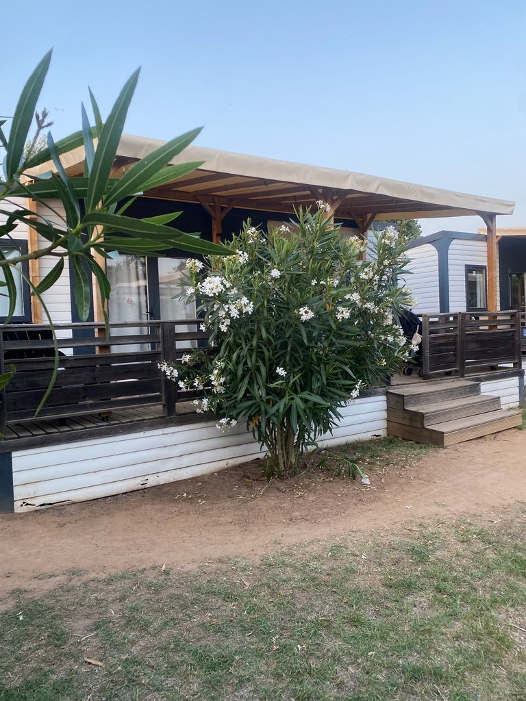 Our premium, air-conditioned cabin with covered deck was a godsend in the hot temperatures