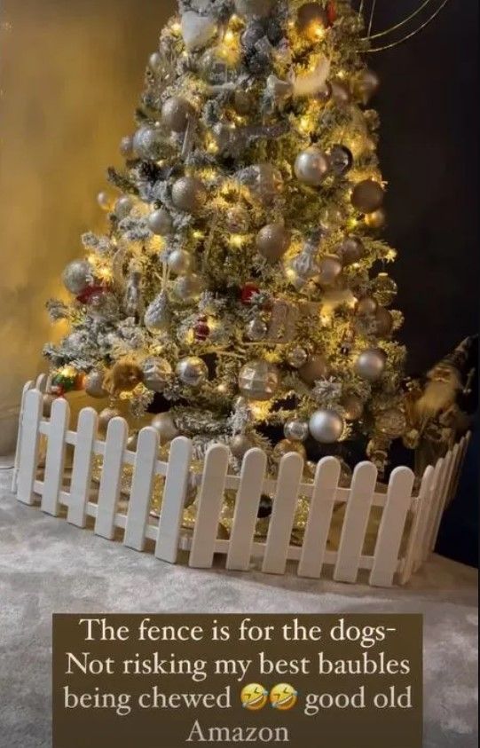  christmas tree on carpet with fence 
