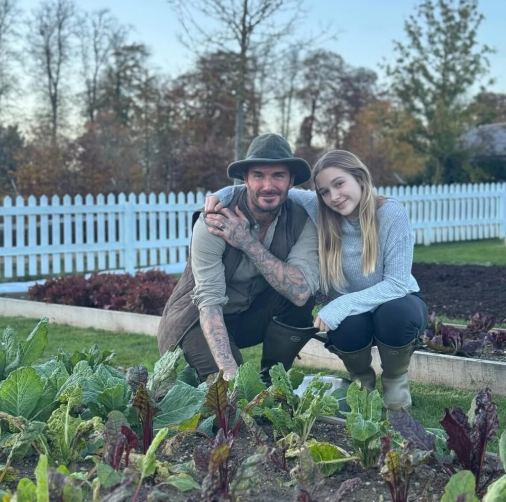 David with his arm around Harper in the garden