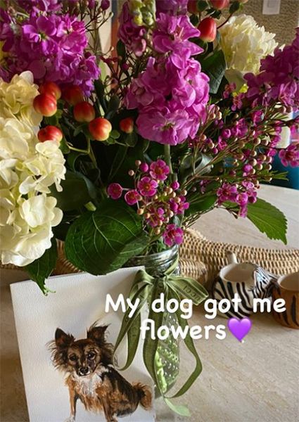 nicole byer living room flowers next to handpainted dog