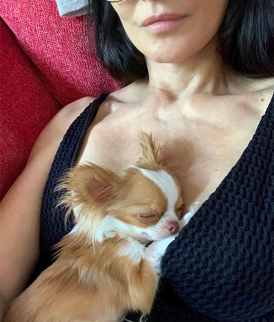 demi moore with puppy 