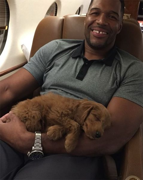 michael strahan puppy private jet