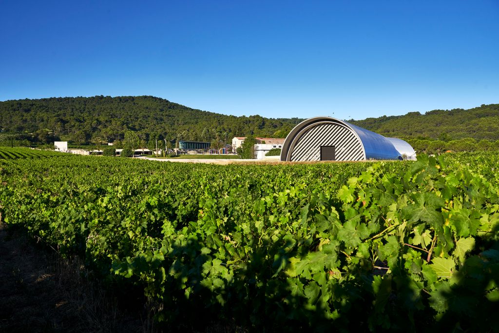 There is a vineyard on the estate     