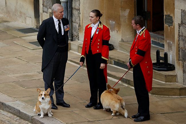 Prince Andrew and The Queens corgis
