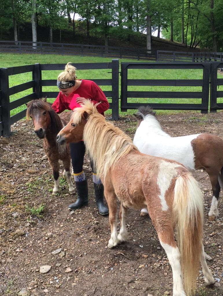 photo of miranda lambert with horses sugar pie and adrianna 