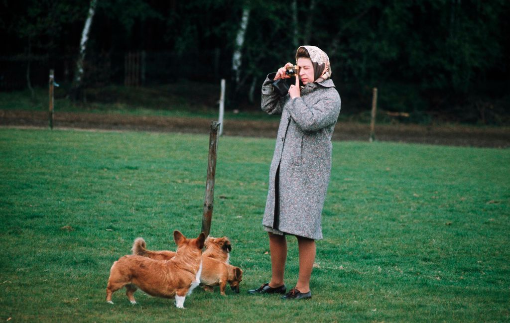 Queen Elizabeth II photographing her corgis at Windsor Park in 1960