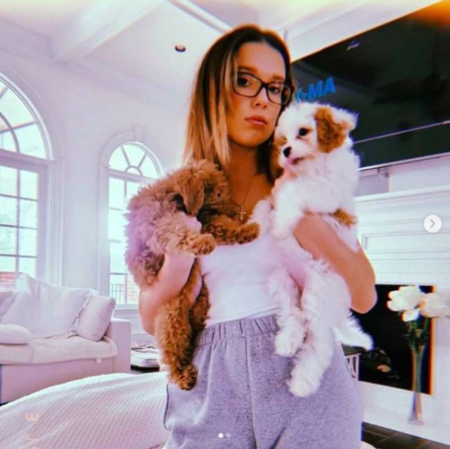 millie bobby brown dogs