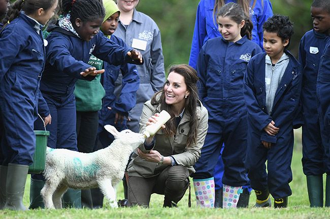 kate middleton feeding lambs farm