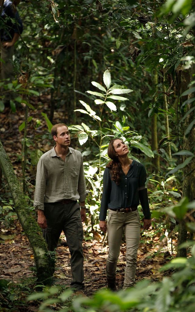 Prince William and Kate walk through the rainforest in Danum Valley Research Center in Danum Valley, some 70 kilometers west of Lahad Datu, on the island of Borneo 