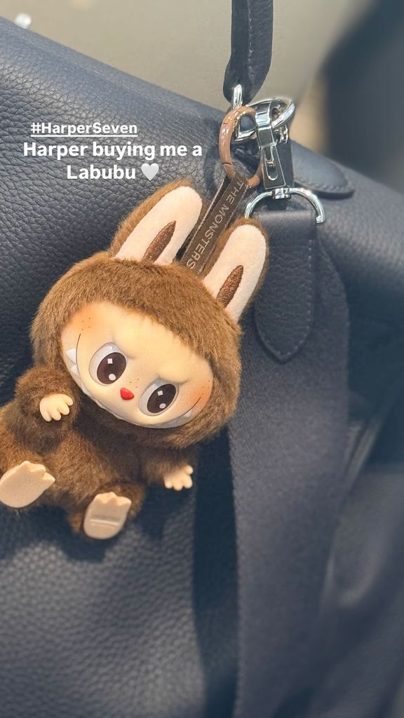 Harper Beckham labubu doll